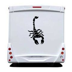 Scorpion Camping Car Decal