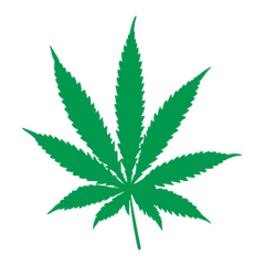 Sticker Pot Leaf Cannabis