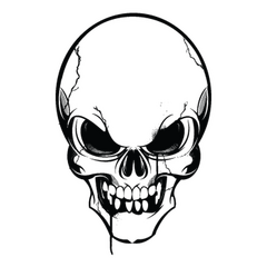 Skull Decal 4