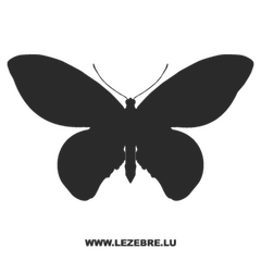 Butterfly Decal 17