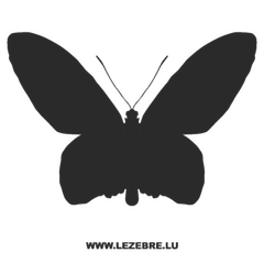 Butterfly Decal 22