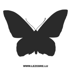 Butterfly Decal 53