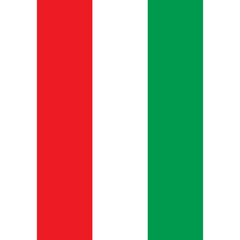 Italian flag motorcycle strip decal