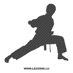 Martial Art Karate Carbon Decal 2