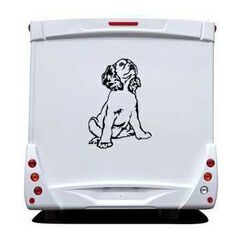 Sticker Camping Car Chien