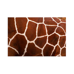 Deco Stickers muraux Peau Girafe