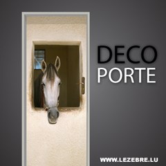 Horse door decal