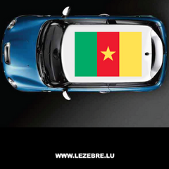 Sticker Toit Auto Drapeau Cameroun