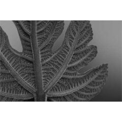 Leaf black and white deco decal