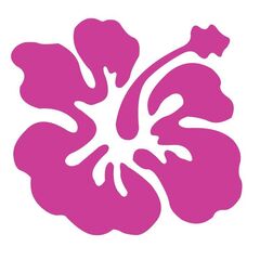 HIBISCUS b Decal