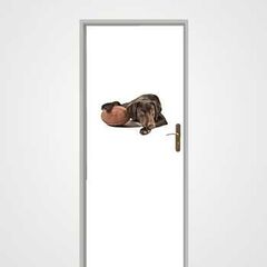 Dog with rubgy ball door decal
