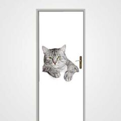 Grey Cat door decal