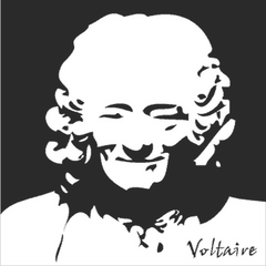 Tee shirt Voltaire