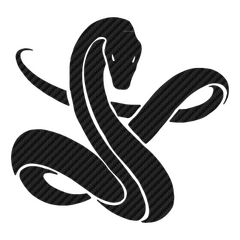 Snake Carbon Decal 4