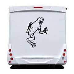 Sticker Camping Car Grenouille 5