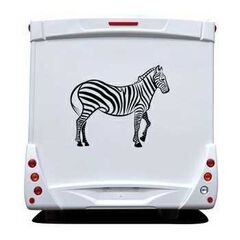 Zebra animal Camping Car Decal
