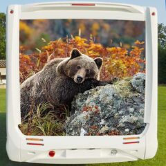 Deco Sticker Camping Car Bear