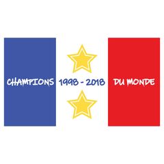 Sticker Drapeau France Champions Du Monde