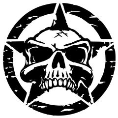 US ARMY STAR Gore Decal