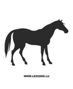 Horse Decal #4