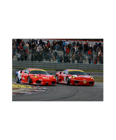Sticker Deko Ferrari F430 FIA GT