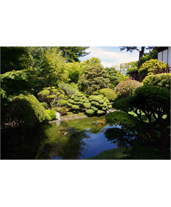 Japanese Garden #2 Decoration Decal