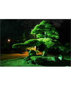 Sticker Géant Jardin Japonais de Nuit