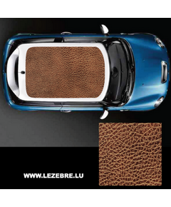 Leather Car Roof Decal