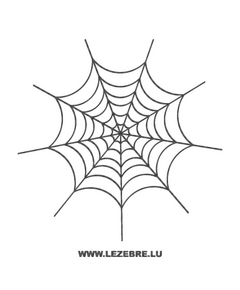 Sticker Karbon Spinnennetz 2