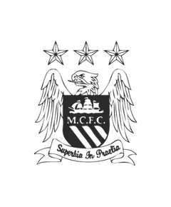 Manchester city logo Decal