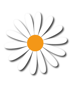Ox-eye daisy decal
