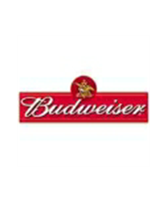 Tee shirt Bière Budweiser 8