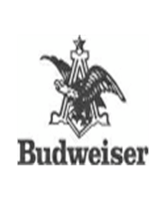 Tee shirt Bière Budweiser 6