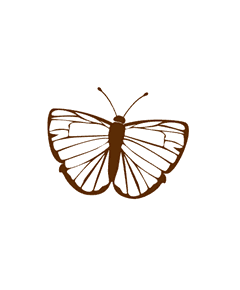 Butterfly Decal 1