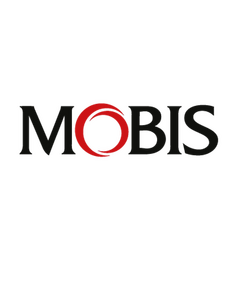 s Mobis Decal