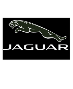Jaguar Decal