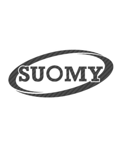 Suomy Carbon Decal 2
