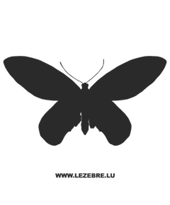 Butterfly Decal 13