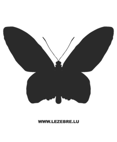 Butterfly Decal 22