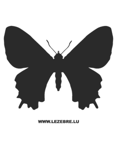 Butterfly Decal 52