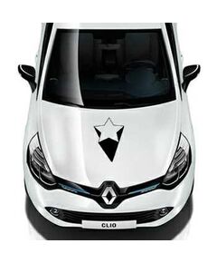 Star 3D Effect Renault Decal 2