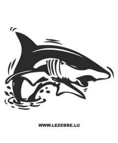 Sticker Squale Requin