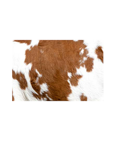 Sticker Deco muraux Peau de vache