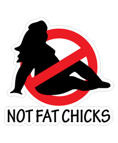 JDM Not Fat Chicks T-shirt