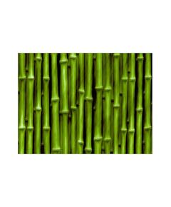 Sticker Wanddekoration Bamboo