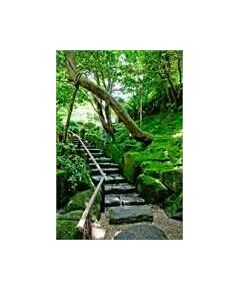 Sticker Mural, photo escalier et jardin du Japon, celine