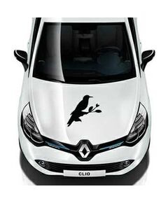 Dove Renault Decal 2