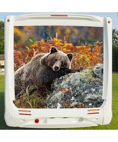 Deco Sticker Camping Car Bear