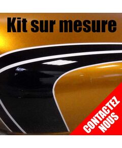 Kit Stickers Yamaha 600 FZ6 S S2 Roadster / routière