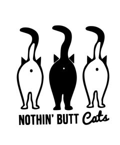 Sticker JDM Nothing Butt Cats
